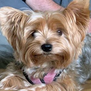 Meet your Posher, Donna